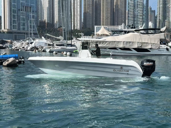 Gladiator 27FT - Image 2