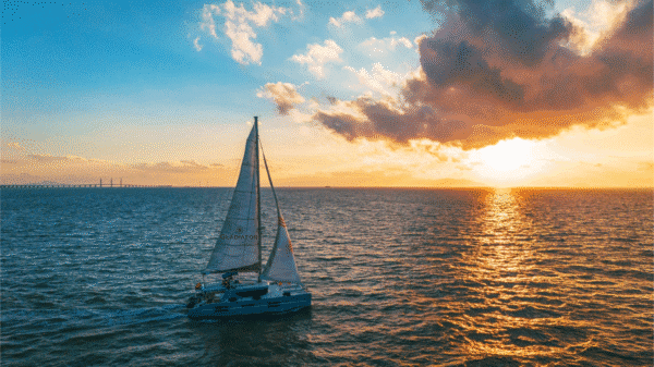 Gladiator 52 FT - Image 3